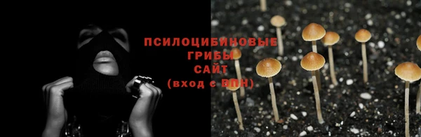 винт Заволжск