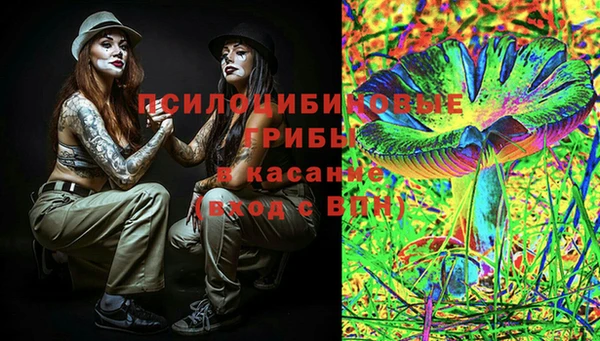 PSILOCYBIN Протвино