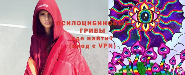 шишки Россошь