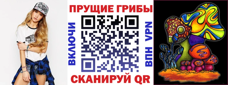 Псилоцибиновые грибы мицелий  Сковородино 